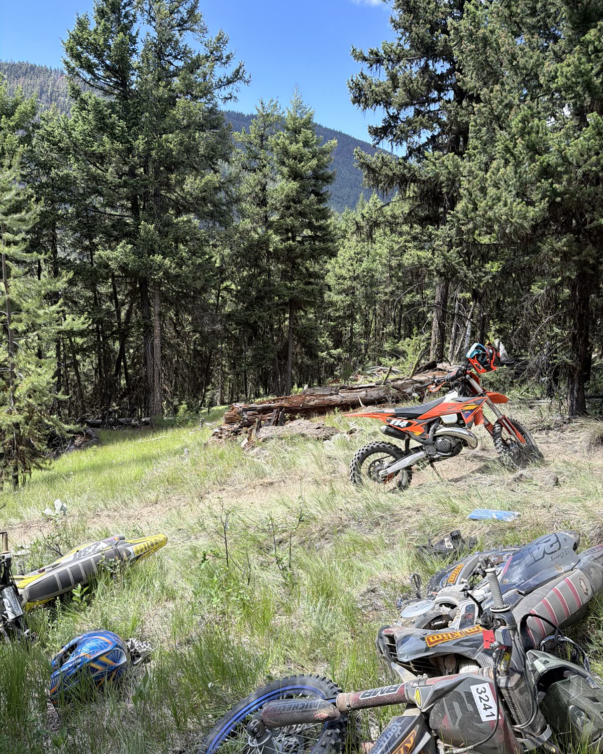 Dirt bikes parked on a grassy slope in open pine forest with a mountain ridge behind.